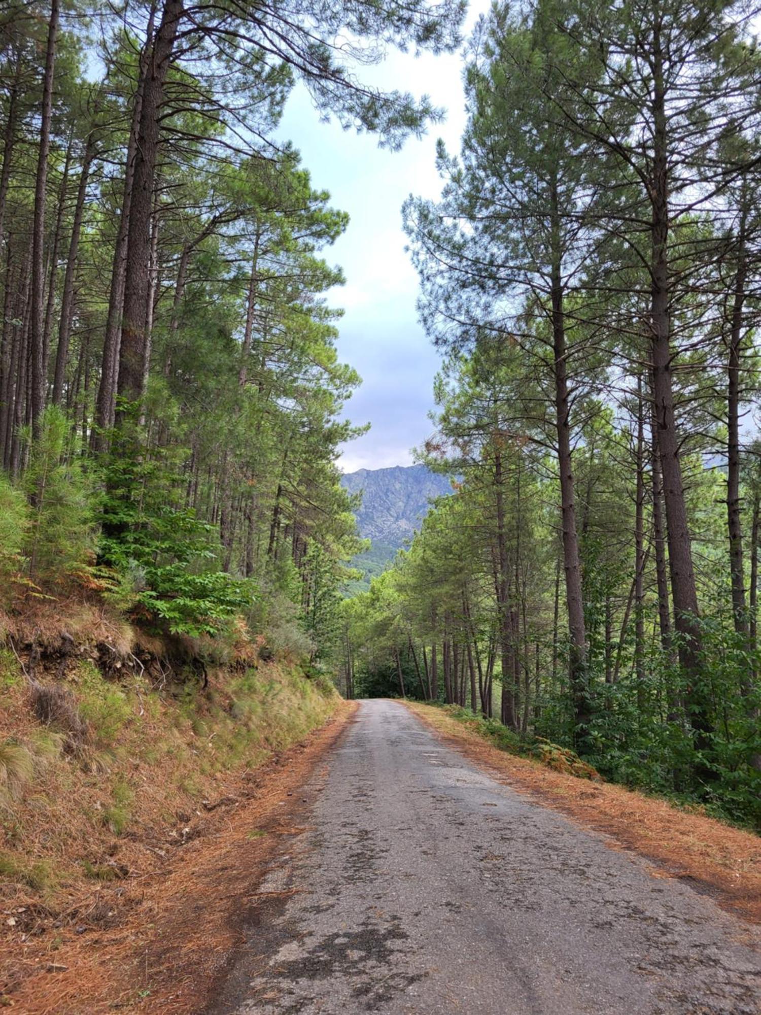 El Refugio De Gredos *